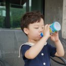 원삼산 목장 | [ 아이와 가볼만 한 곳 ] 경기도 용인 농도원목장 - 예약제 목장체험