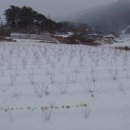 하늘소 농장 이미지