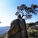 여암 신경준 묘역 | 100대 명산 55th/춘천 오봉산...최단 코스