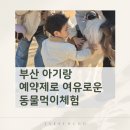 (주)부산팜 | 부산 아기랑 가볼만한 곳 동물먹이체험부터 승마까지, 치유농장 온담