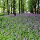 희망공원 이미지