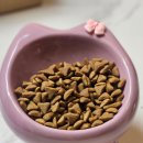 만물그릇 - 장수군 시장로 11 | [반려묘 식기 추천] 송아만물 세라믹식기 사용 후기! 너무 귀여운고양이밥그릇 찾았어요