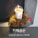 곰손한집