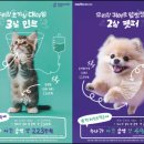 쿠키동물병원 이미지