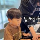 팀버렙타일 이미지