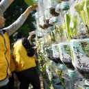 신선헬스 이미지