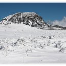 제주유유자적 이미지