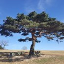 소호목장 2 이미지