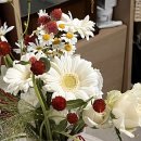 쁘띠따쁘띠 - 송파구 | 결혼 준비 3 : 프러포즈 후기(연남 우고미, 이수 쁘띠따쁘띠, 홍대 캐치미 스튜디오)