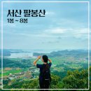 어송6낙차공 | 서산 팔봉산 등산코스 1봉~8봉 ,양길주차장 회귀코스 (3봉 정상 새데크 설치)