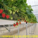 토경농장