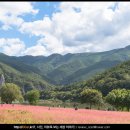 동굴민박 | 영월 홍메밀 축제 후기 22.10.08