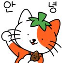 JMC줄넘기&태권도장 이미지