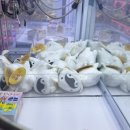 소소한뽑기 이미지