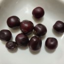 아이디플랜츠 이미지
