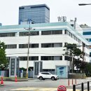삼성전기 기업 단체 출강 MBTI 아로마테라피 스트레스 완화 바디 워시 만들기 강의 준비 과정