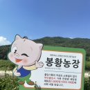 밀양축산 이미지