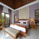 더 로카 이미지