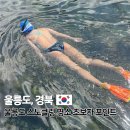 해양파출소 옆 공터 | 울릉도 여행 스노클링 명소 초보자 추천 천부항 독도해양연구기지 태하 가재굴