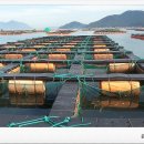 완도화목식품 이미지