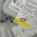 여름아 부탁해