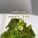 아랑농장 이미지