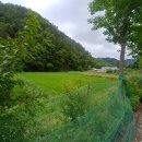 청운행정사 이미지