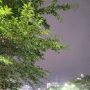 유태농장 이미지