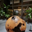 면역공방 | [강원] 내돈내산 대만족한 추운 겨울 노폐물 싹 빼고 온 설해원 온천사우나 &amp; 면역공방 후기