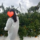 보룡농장 이미지