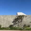 문동사색 이미지