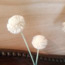 오늘머린 이미지