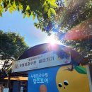누렁이과수원 | 아이랑 팜크닉 #7 | 안성 누렁이과수원