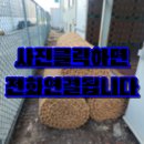 반월농협 안산지점 이미지
