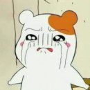엠티티 이미지