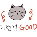 강남서울외과의원 이미지