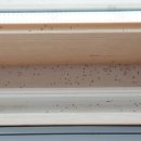 대덕농협내리지점 이미지