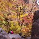 정섭농장 이미지