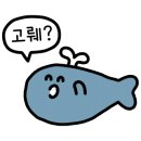 K-TOP MOTORS 이미지