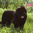 개린이 보호구역 이미지