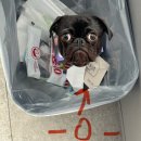 가람한의원 | 헤이모두들 안녕