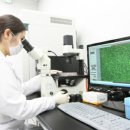 현대의료기사 이미지