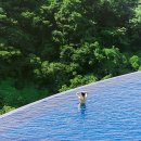 히든호텔 이미지