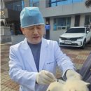 진도메디칼 이미지