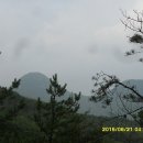 매전농업협동조합 티스토리