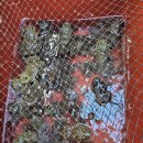 민물건강원 이미지