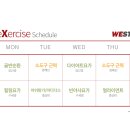 웨스턴짐 이미지