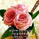 신혼여행에서 생긴일＜비디오 영상＞ 이미지