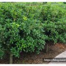 농원농산 이미지