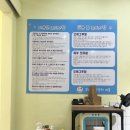 고양이 무마취 미용 냥털도둑 이미지